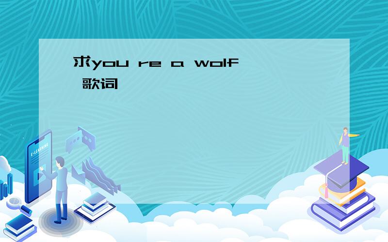 求you re a wolf 歌词