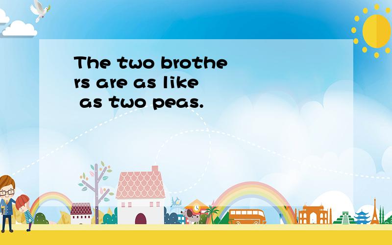 The two brothers are as like as two peas.