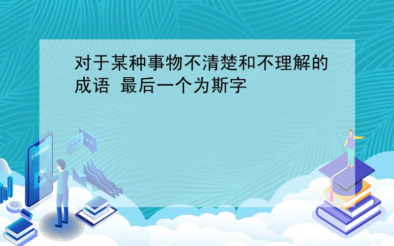 对于某种事物不清楚和不理解的成语 最后一个为斯字