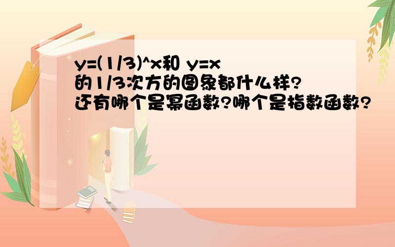 y=(1/3)^x和 y=x的1/3次方的图象都什么样?还有哪个是幂函数?哪个是指数函数?