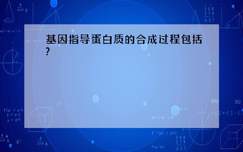 基因指导蛋白质的合成过程包括?