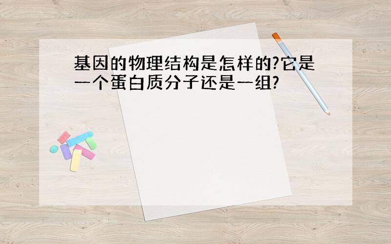 基因的物理结构是怎样的?它是一个蛋白质分子还是一组?