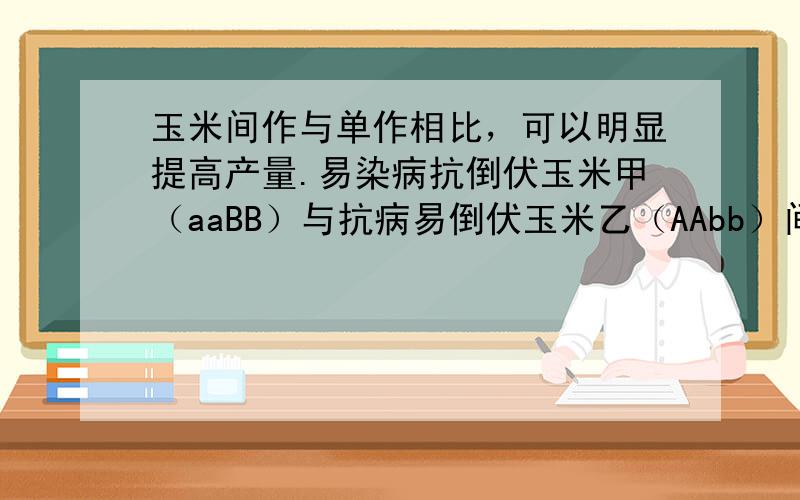 玉米间作与单作相比，可以明显提高产量.易染病抗倒伏玉米甲（aaBB）与抗病易倒伏玉米乙（AAbb）间作，甲株所结玉米胚、