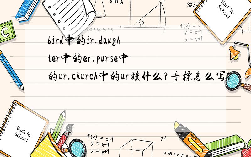 bird中的ir,daughter中的er,purse中的ur,church中的ur读什么?音标怎么写?