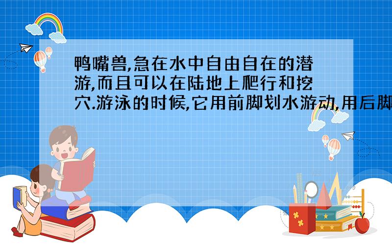 鸭嘴兽,急在水中自由自在的潜游,而且可以在陆地上爬行和挖穴.游泳的时候,它用前脚划水游动,用后脚平衡身体,头还有节奏地左