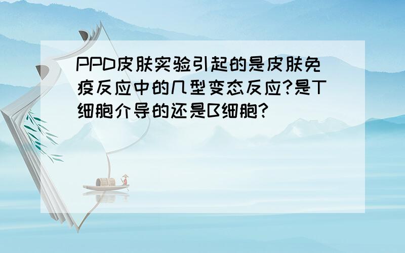 PPD皮肤实验引起的是皮肤免疫反应中的几型变态反应?是T细胞介导的还是B细胞?