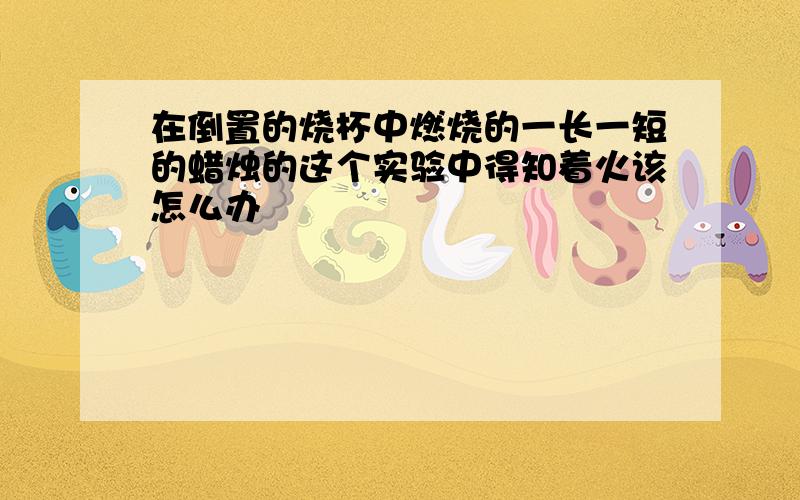 在倒置的烧杯中燃烧的一长一短的蜡烛的这个实验中得知着火该怎么办