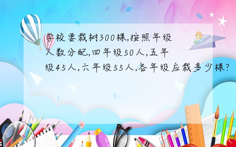 学校要栽树300棵,按照年级人数分配,四年级50人,五年级45人,六年级55人,各年级应栽多少棵?