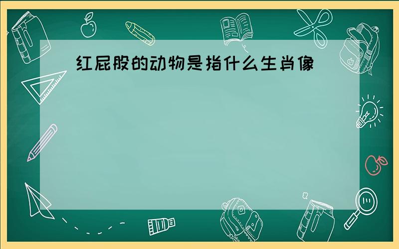 红屁股的动物是指什么生肖像