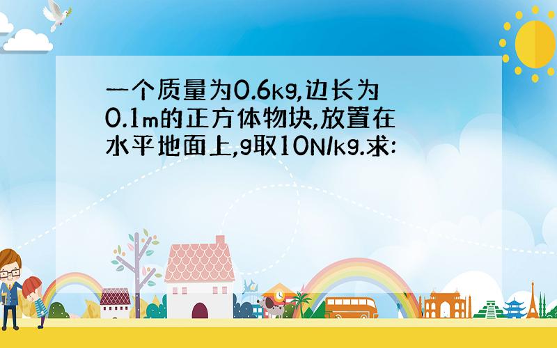 一个质量为0.6kg,边长为0.1m的正方体物块,放置在水平地面上,g取10N/kg.求: