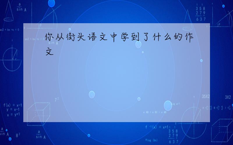 你从街头语文中学到了什么的作文