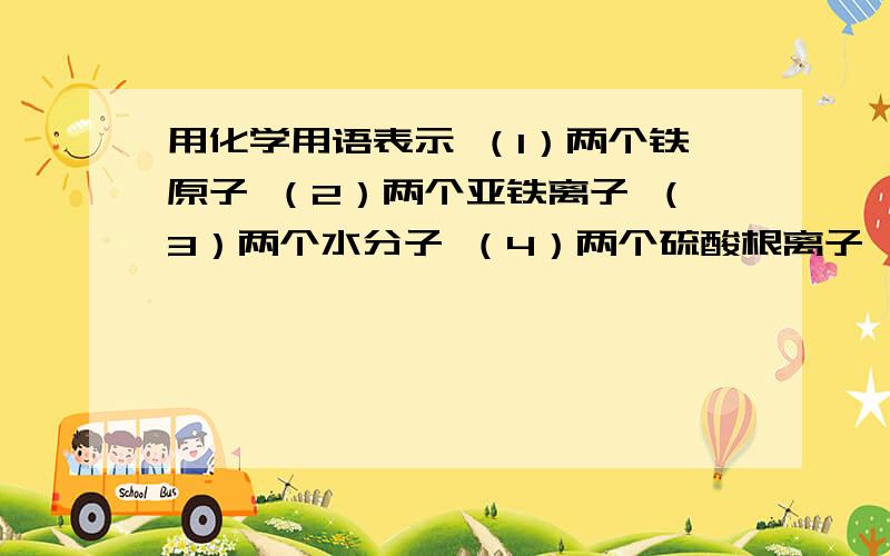 用化学用语表示 （1）两个铁原子 （2）两个亚铁离子 （3）两个水分子 （4）两个硫酸根离子 （5）m个过氧化