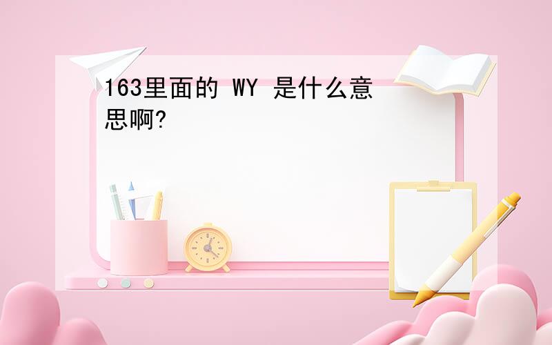 163里面的 WY 是什么意思啊?