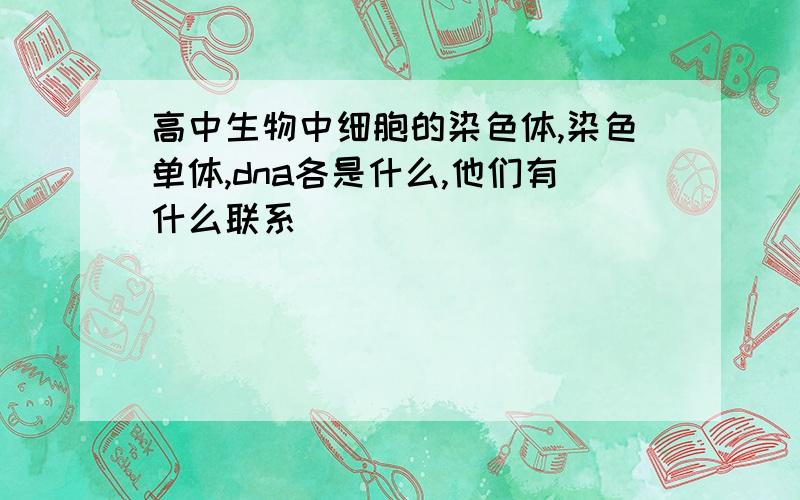 高中生物中细胞的染色体,染色单体,dna各是什么,他们有什么联系