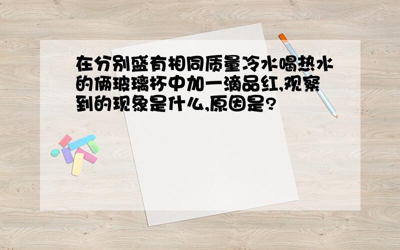 在分别盛有相同质量冷水喝热水的俩玻璃杯中加一滴品红,观察到的现象是什么,原因是?