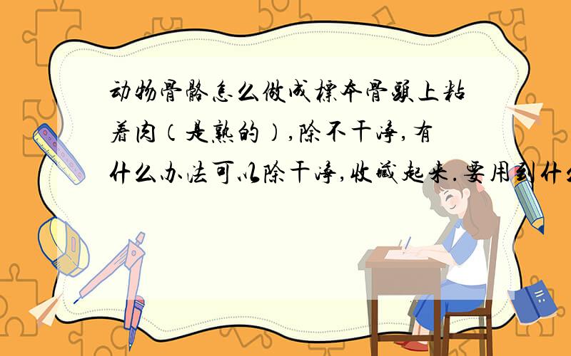 动物骨骼怎么做成标本骨头上粘着肉（是熟的）,除不干净,有什么办法可以除干净,收藏起来.要用到什么药水浸泡么?还有用牙膏刷