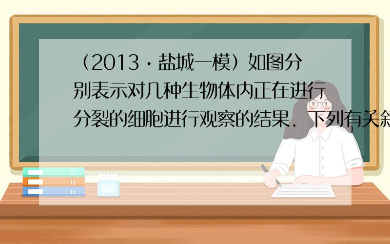 （2013•盐城一模）如图分别表示对几种生物体内正在进行分裂的细胞进行观察的结果．下列有关叙述正确的是（　　）