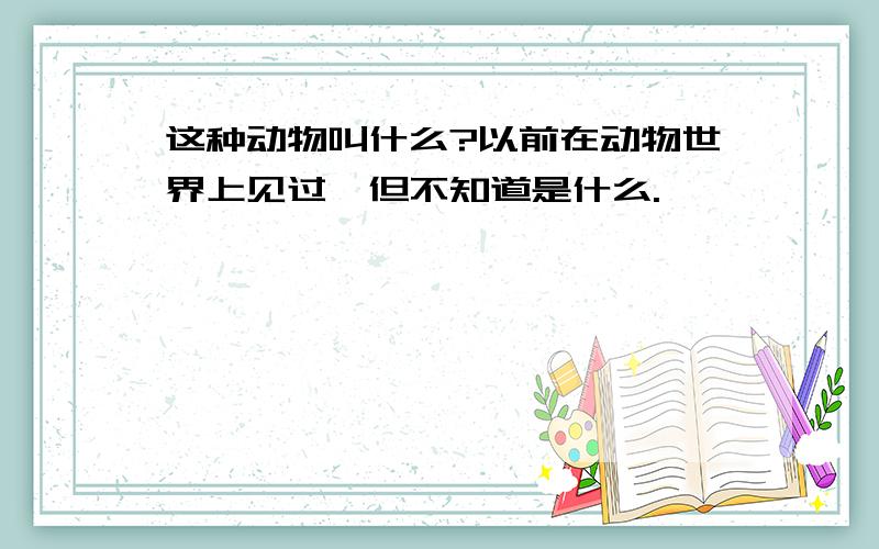 这种动物叫什么?以前在动物世界上见过,但不知道是什么.