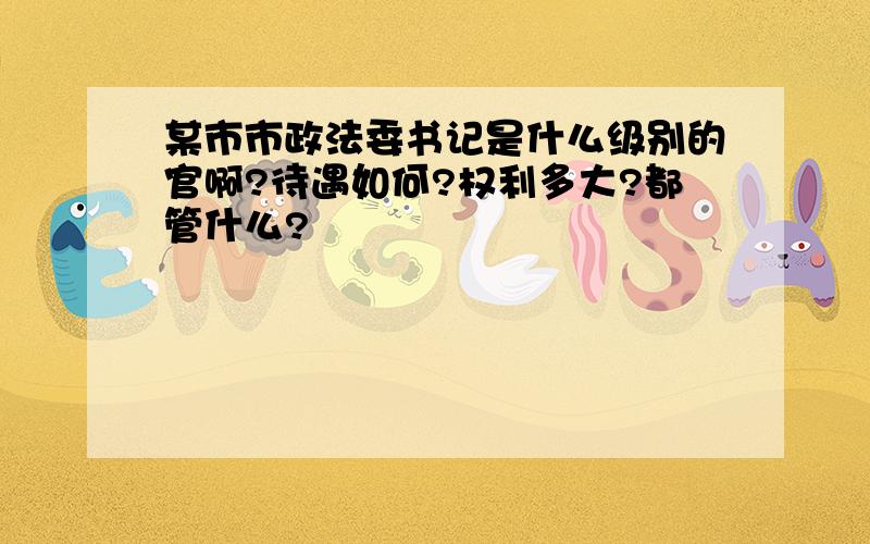 某市市政法委书记是什么级别的官啊?待遇如何?权利多大?都管什么?