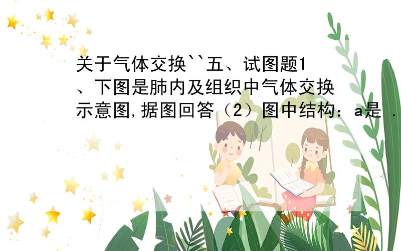 关于气体交换``五、试图题1、下图是肺内及组织中气体交换示意图,据图回答（2）图中结构：a是 .b是 .c是 .d是 .