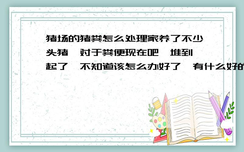 猪场的猪粪怎么处理家养了不少头猪,对于粪便现在吧,堆到一起了,不知道该怎么办好了,有什么好的办法没有