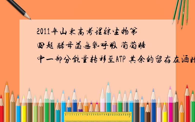 2011年山东高考理综生物第四题 酵母菌无氧呼吸 葡萄糖中一部分能量转移至ATP 其余的留存在酒精之中