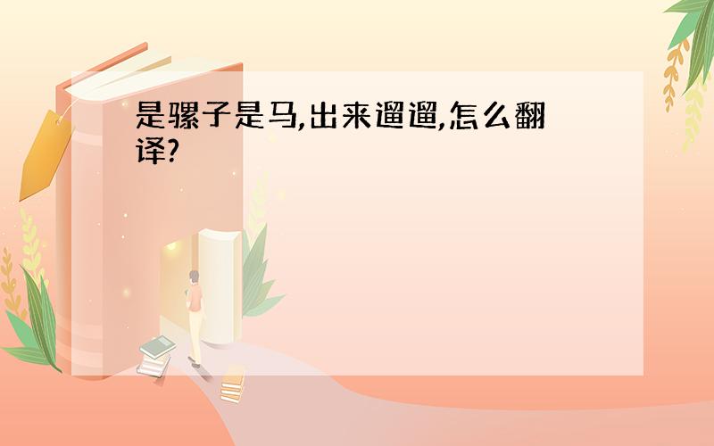 是骡子是马,出来遛遛,怎么翻译?