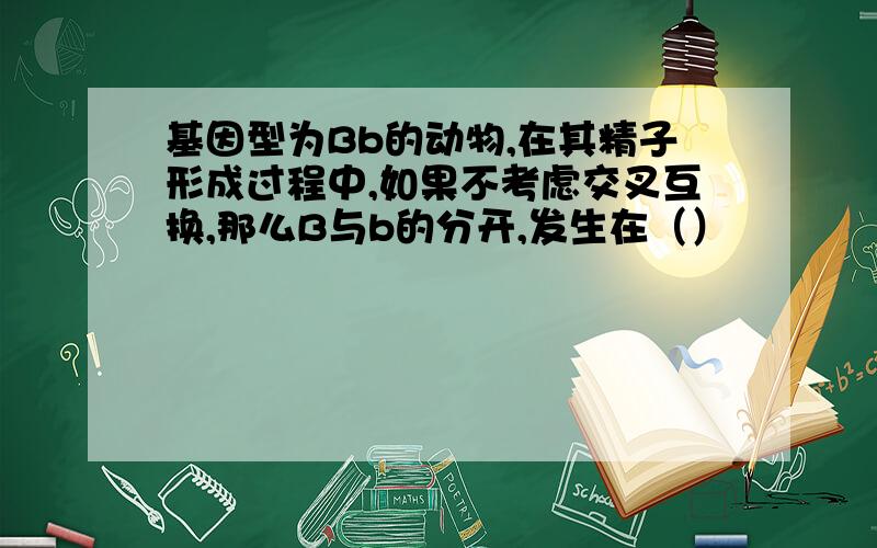 基因型为Bb的动物,在其精子形成过程中,如果不考虑交叉互换,那么B与b的分开,发生在（）