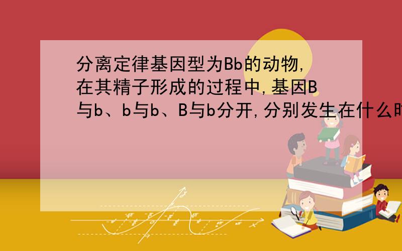 分离定律基因型为Bb的动物,在其精子形成的过程中,基因B与b、b与b、B与b分开,分别发生在什么时期?