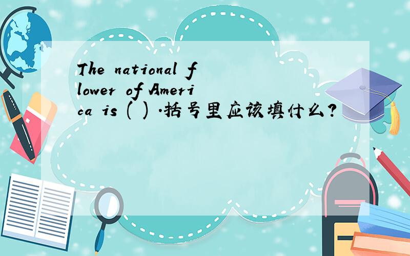 The national flower of America is ( ) .括号里应该填什么?