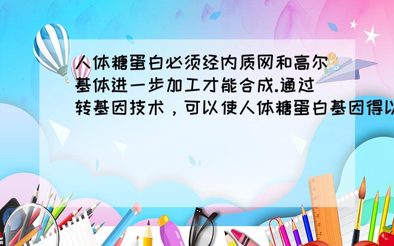 人体糖蛋白必须经内质网和高尔基体进一步加工才能合成.通过转基因技术，可以使人体糖蛋白基因得以表达的受体细胞是（　　）