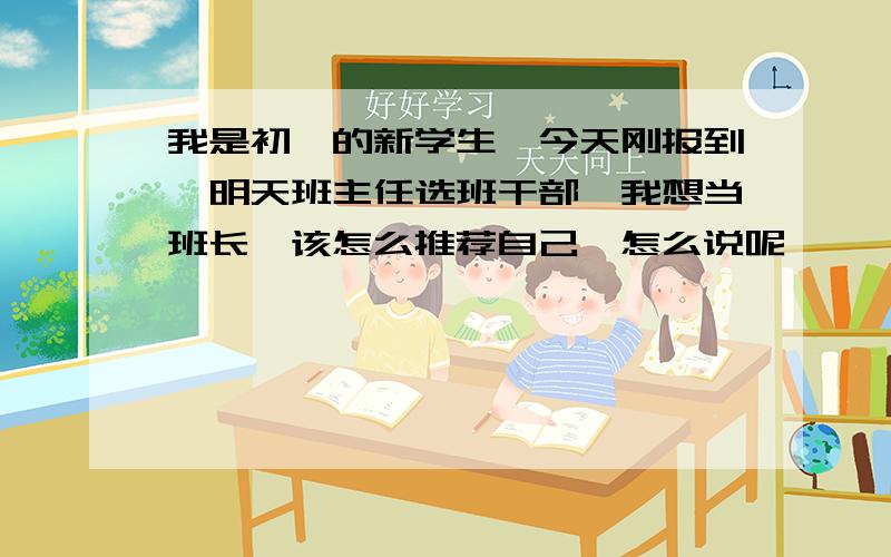 我是初一的新学生,今天刚报到,明天班主任选班干部,我想当班长,该怎么推荐自己,怎么说呢