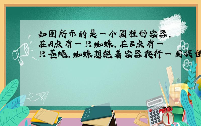 如图所示的是一个圆柱形容器,在A点有一只蜘蛛,在B点有一只苍蝇,蜘蛛想绕着容器爬行一周捉住苍蝇请你画出蜘