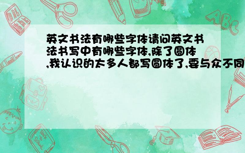 英文书法有哪些字体请问英文书法书写中有哪些字体,除了圆体,我认识的太多人都写圆体了,要与众不同.