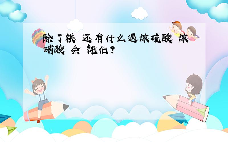 除了铁 还有什么遇浓硫酸 浓硝酸 会 钝化?