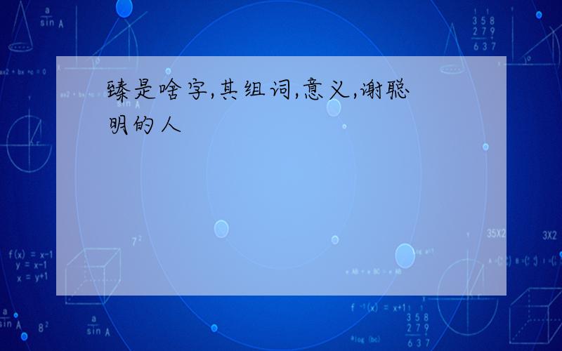 臻是啥字,其组词,意义,谢聪明的人