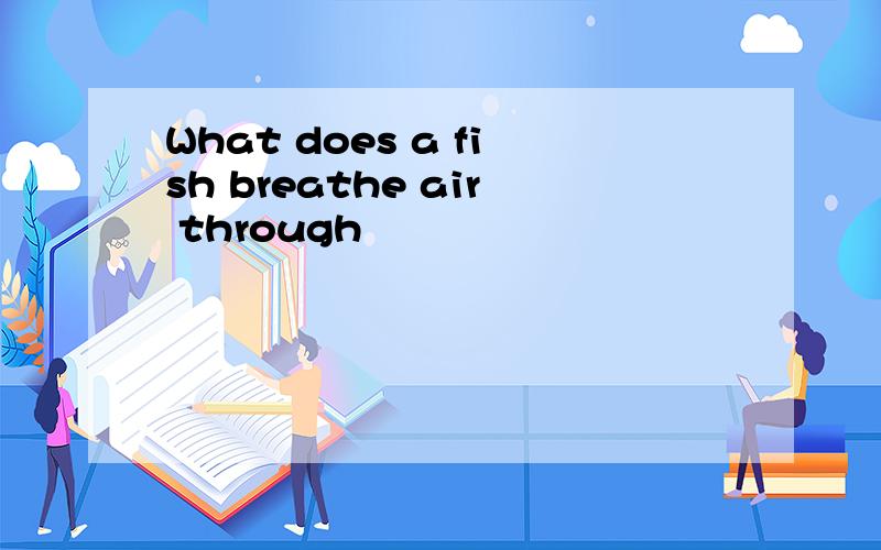 What does a fish breathe air through