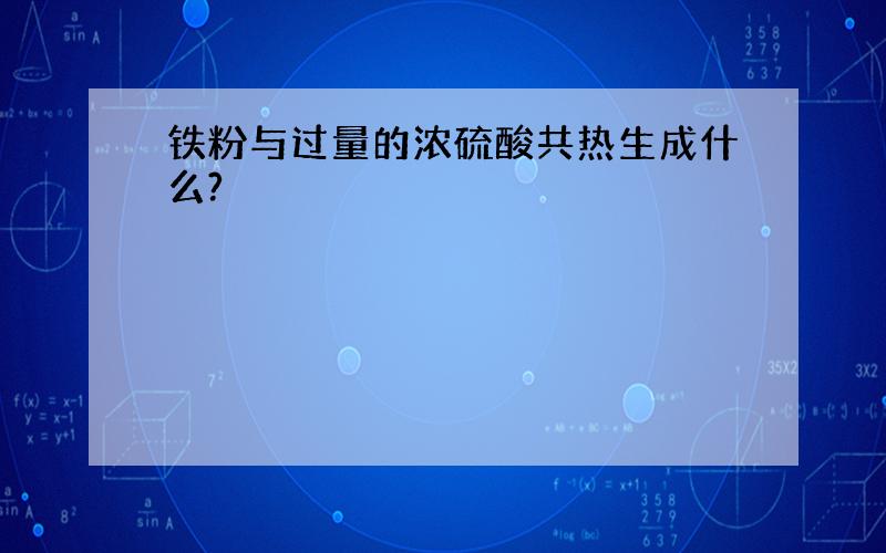 铁粉与过量的浓硫酸共热生成什么?