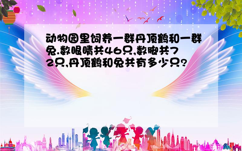 动物园里饲养一群丹顶鹤和一群兔.数眼睛共46只,数脚共72只,丹顶鹤和兔共有多少只?