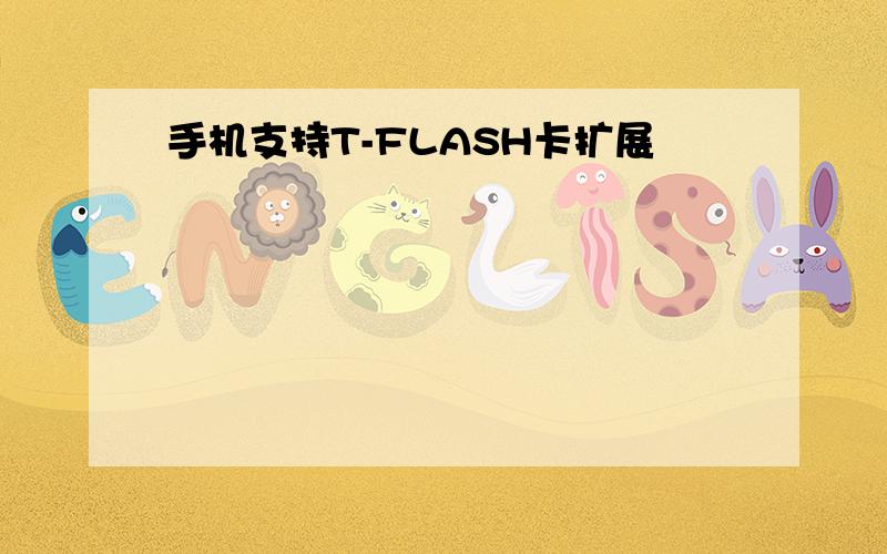 手机支持T-FLASH卡扩展