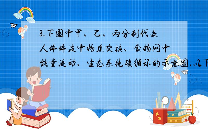 3．下图中甲、乙、丙分别代表人体体液中物质交换、食物网中能量流动、生态系统碳循环的示意图,以下说法正确的是 