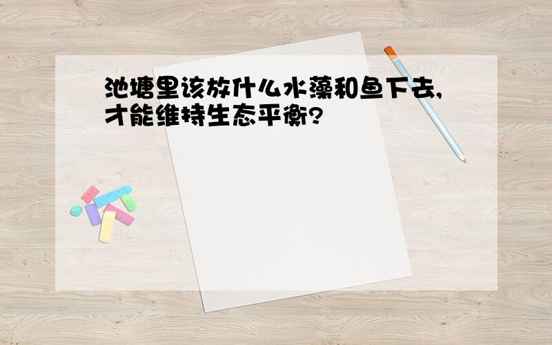 池塘里该放什么水藻和鱼下去,才能维持生态平衡?