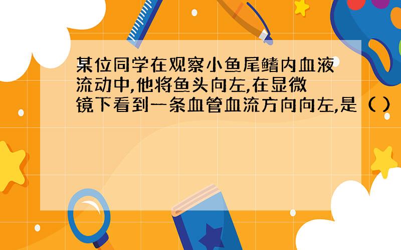 某位同学在观察小鱼尾鳍内血液流动中,他将鱼头向左,在显微镜下看到一条血管血流方向向左,是（ ）血管