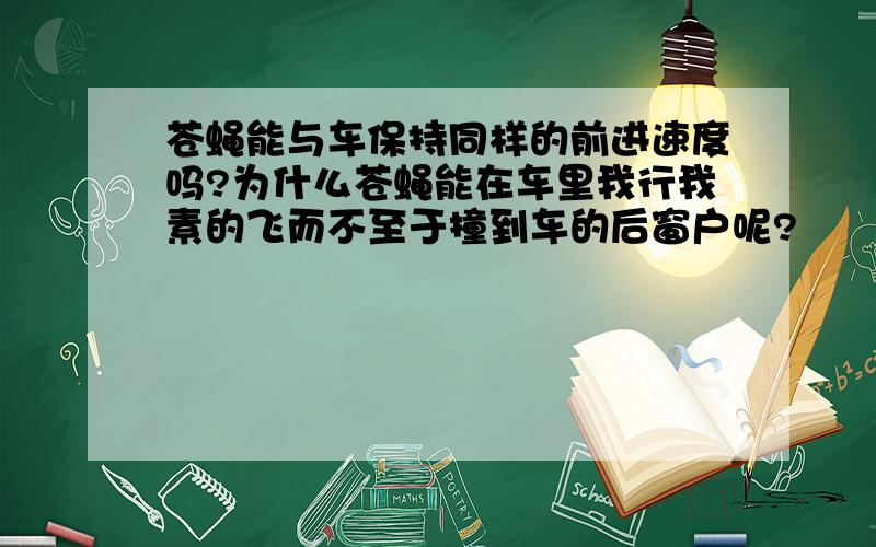 苍蝇能与车保持同样的前进速度吗?为什么苍蝇能在车里我行我素的飞而不至于撞到车的后窗户呢?