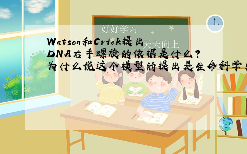 Watson和Crick提出DNA右手螺旋的依据是什么?为什么说这个模型的提出是生命科学史上具有里程碑意义的大事