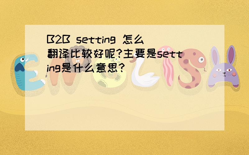 B2B setting 怎么翻译比较好呢?主要是setting是什么意思?