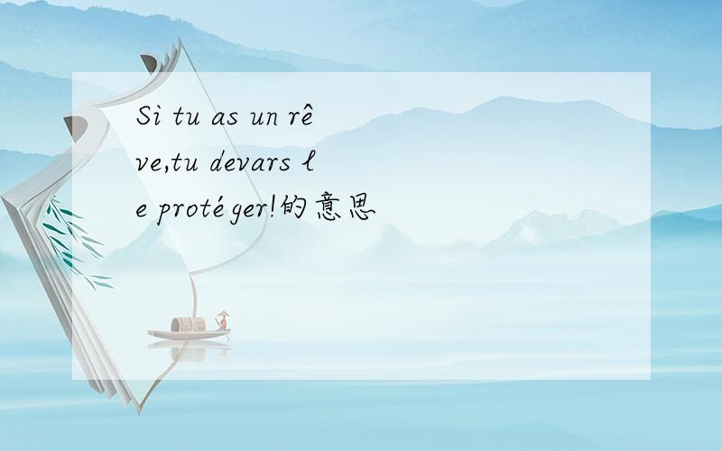 Si tu as un rêve,tu devars le protéger!的意思