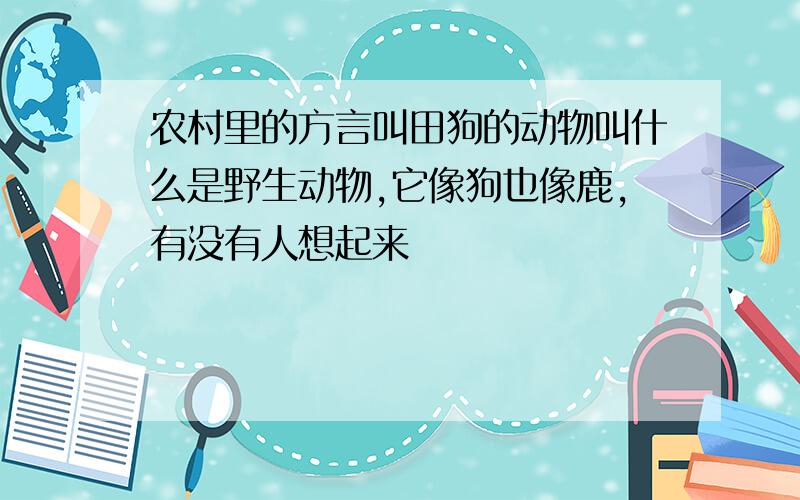 农村里的方言叫田狗的动物叫什么是野生动物,它像狗也像鹿,有没有人想起来