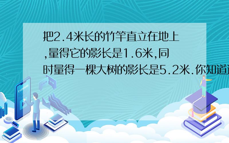 把2.4米长的竹竿直立在地上,量得它的影长是1.6米,同时量得一棵大树的影长是5.2米.你知道这棵大树有多高写?