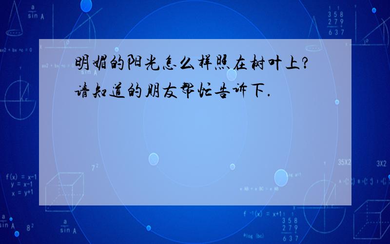 明媚的阳光怎么样照在树叶上?请知道的朋友帮忙告诉下.